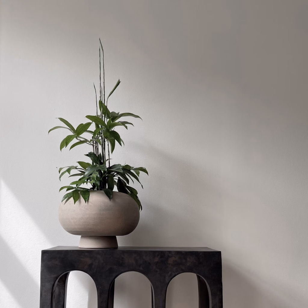 KABIN VASE FAT