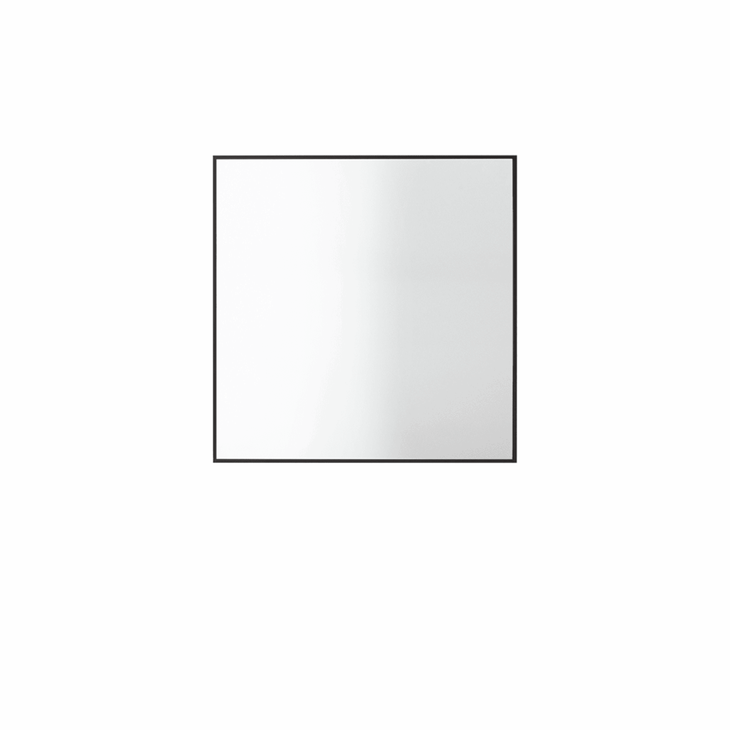 VIEW MIRROR