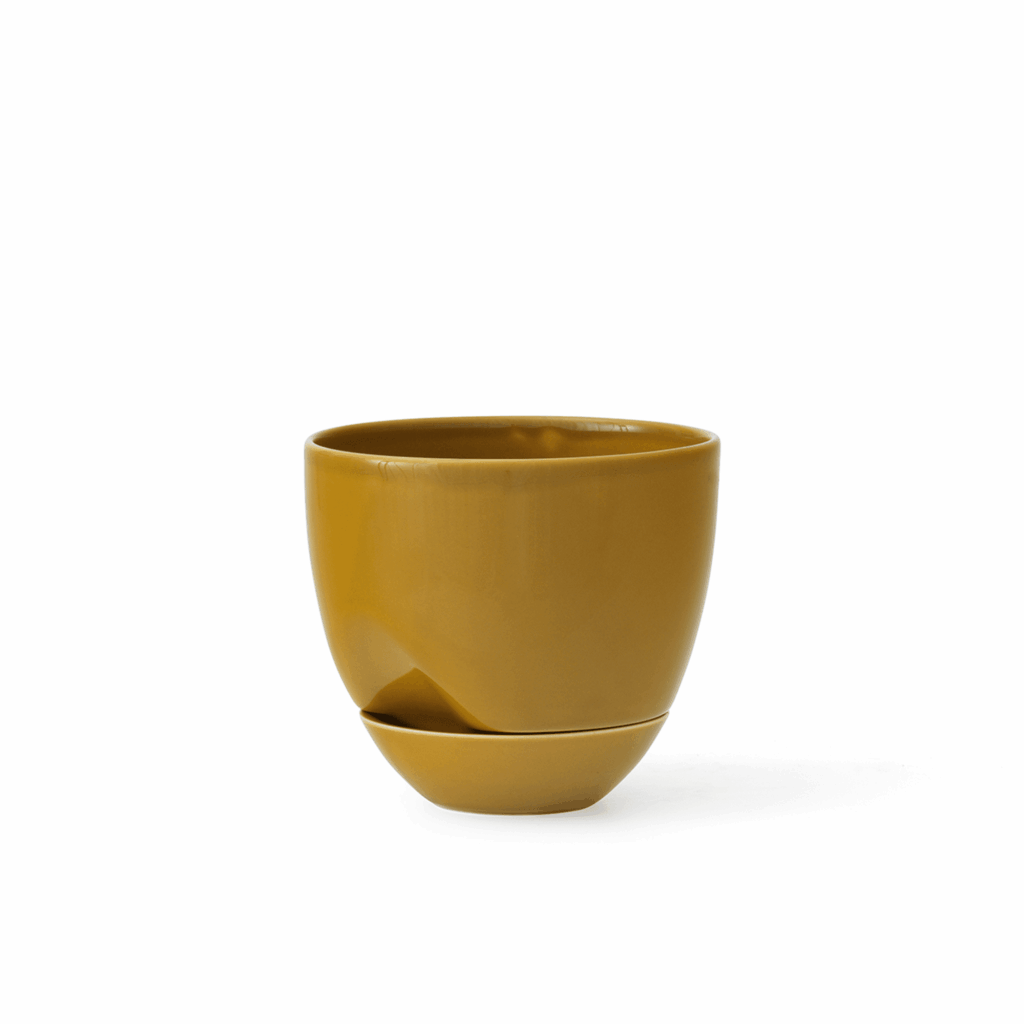 HYDROUS PLANTER