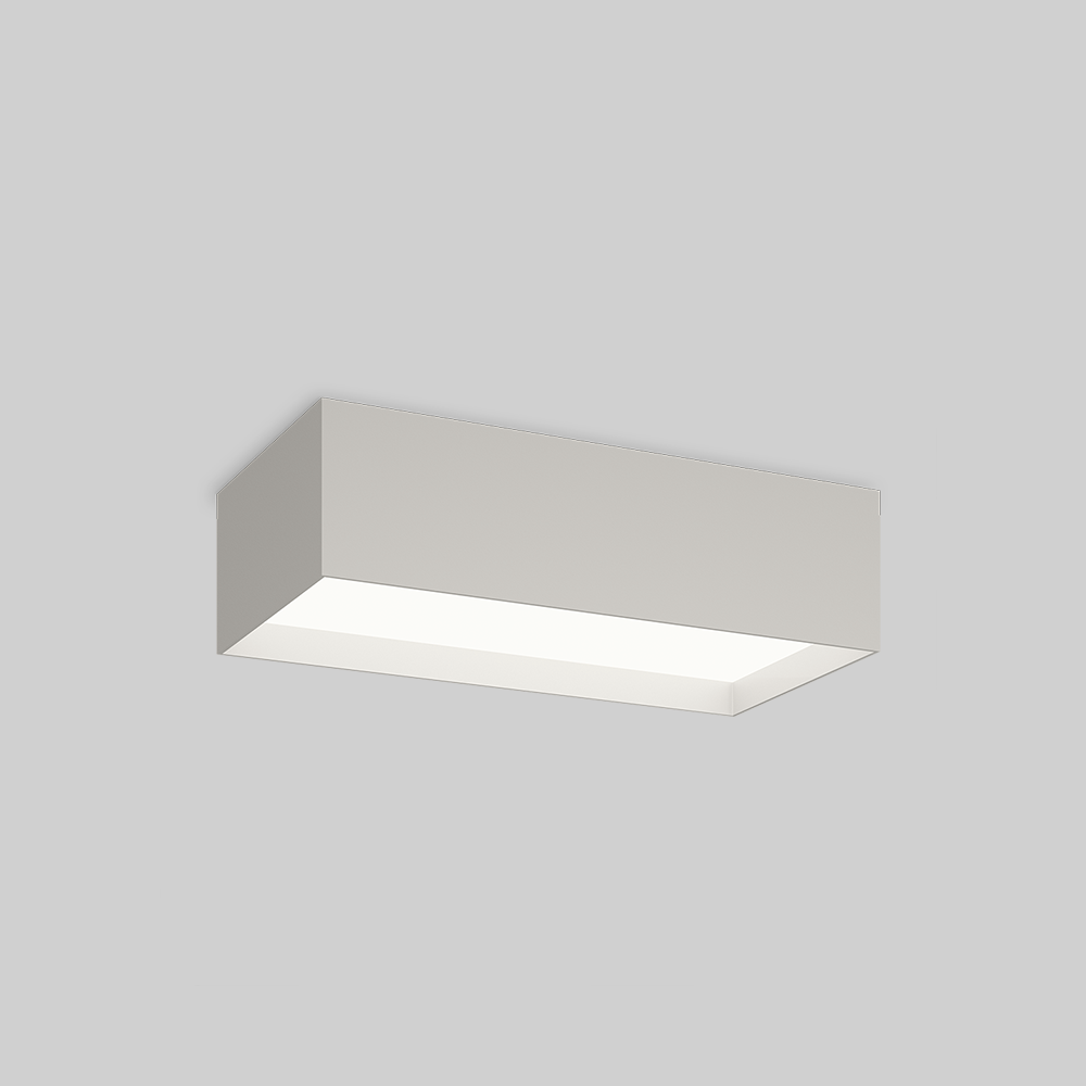 STRUCTURAL CEILING LIGHT
